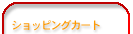 �V���b�s���O�J�[�g